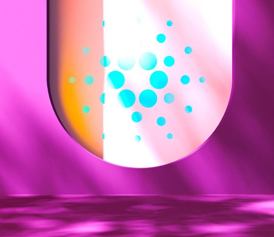 IOHK Executive Says Cardano (ADA) and Crypto in the Dot Com Stage of Development iohk-executive-says-cardano-(ada)-and-crypto-in-the-dot-com-stage-of-development