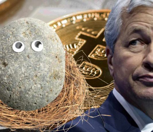 JPMorgan Chase CEO Jamie Dimon Likens Crypto to Pet Rocks — Calls for More Regulation jpmorgan-chase-ceo-jamie-dimon-likens-crypto-to-pet-rocks-—-calls-for-more-regulation