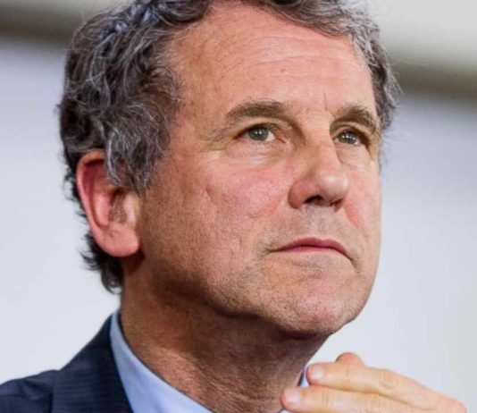 US Senator Calls Sam Bankman-Fried to Answer for Failure of FTX and Alameda Research us-senator-calls-sam-bankman-fried-to-answer-for-failure-of-ftx-and-alameda-research