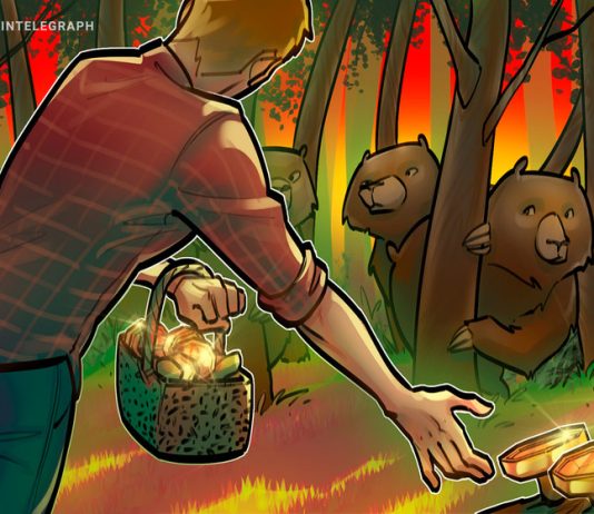 Bitcoin bear market 70% dip kills BTC ‘tourists’ as metric screams buy bitcoin-bear-market-70%-dip-kills-btc-‘tourists’-as-metric-screams-buy