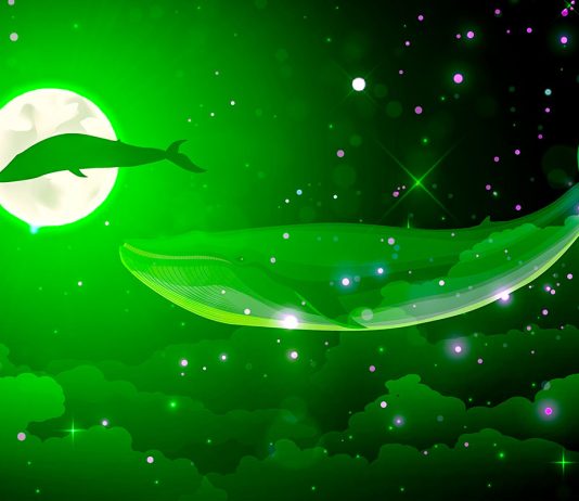 Whales Relocate $440,000,000 in Bitcoin and XRP As Market Volatility Returns – Here’s Where the Crypto Is Going whales-relocate-$440,000,000-in-bitcoin-and-xrp-as-market-volatility-returns-–-here’s-where-the-crypto-is-going