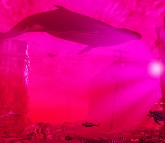 Litecoin Mega Whales Accumulate Nearly $220,000,000 Worth of LTC in Just Five Weeks: Analytics Firm Santiment litecoin-mega-whales-accumulate-nearly-$220,000,000-worth-of-ltc-in-just-five-weeks:-analytics-firm-santiment