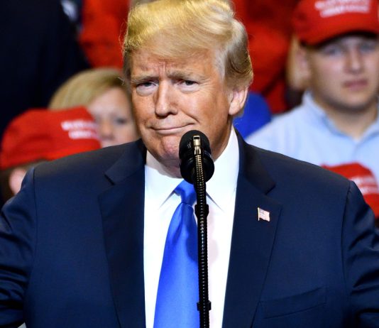 Trump Launches NFT Card Collection — Sweepstake Winners Could Dine or Golf With the 45th President trump-launches-nft-card-collection-—-sweepstake-winners-could-dine-or-golf-with-the-45th-president