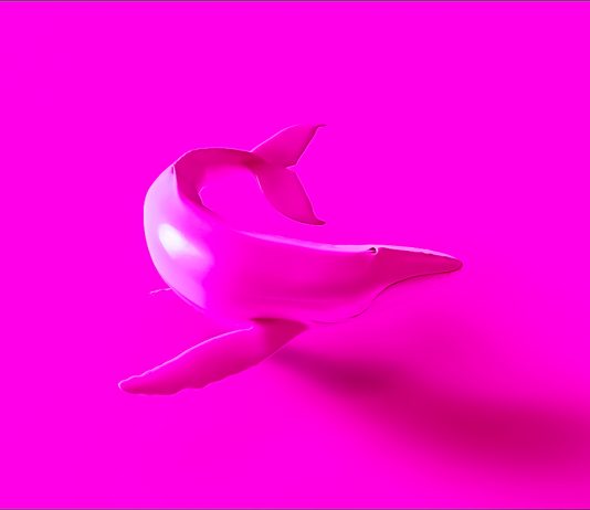 Mysterious Shiba Inu Whale Abruptly Moves 2,673,966,699,162 SHIB in Massive Crypto Transaction mysterious-shiba-inu-whale-abruptly-moves-2,673,966,699,162-shib-in-massive-crypto-transaction