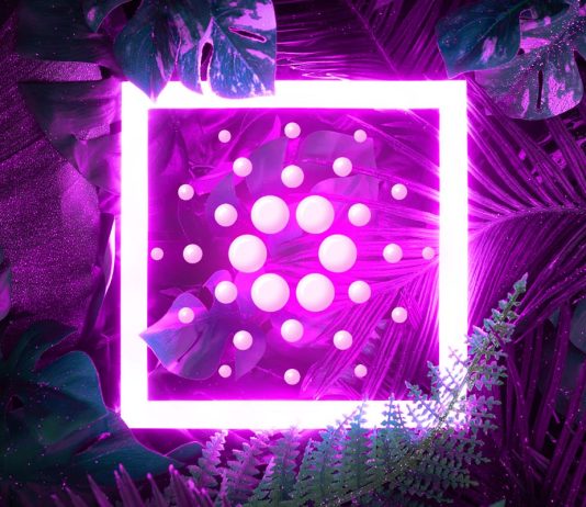 Coin Bureau Host Details Cardano Outlook, Says These Catalysts Will Determine ADA’s Long-Term Performance coin-bureau-host-details-cardano-outlook,-says-these-catalysts-will-determine-ada’s-long-term-performance