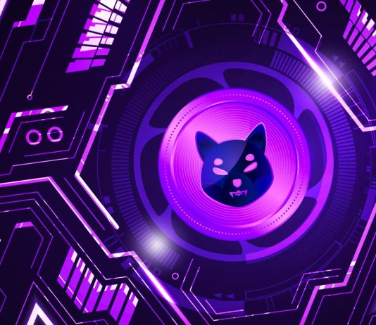 Meme Altcoin Shiba Inu (SHIB) One of the Most Watched Cryptocurrencies This Year on Binance meme-altcoin-shiba-inu-(shib)-one-of-the-most-watched-cryptocurrencies-this-year-on-binance