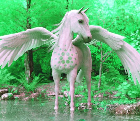 Crypto Sharks Are Heavily Accumulating Cardano, Taking Dip Buying of ADA to New Level: Analytics Firm crypto-sharks-are-heavily-accumulating-cardano,-taking-dip-buying-of-ada-to-new-level:-analytics-firm