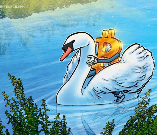 What is Swan Bitcoin and how does it work? what-is-swan-bitcoin-and-how-does-it-work?