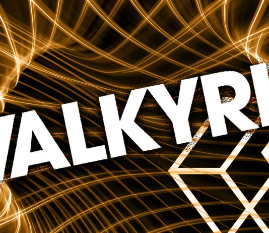 Valkyrie aims to rescue Grayscale’s Bitcoin Trust valkyrie-aims-to-rescue-grayscale’s-bitcoin-trust