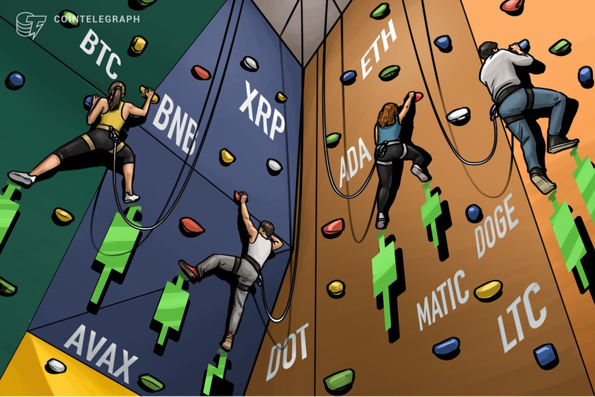 price-analysis-1/25:-btc,-eth,-bnb,-xrp,-ada,-doge,-matic,-dot,-ltc,-avax