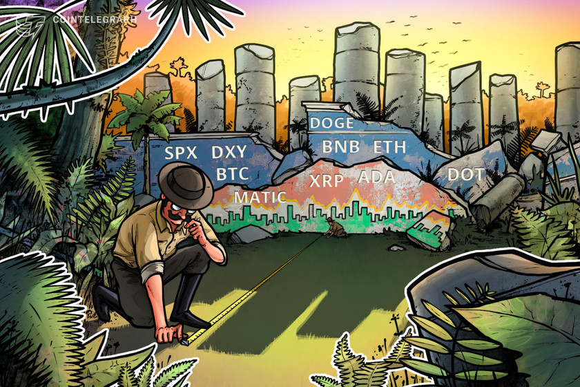 price-analysis-1/30:-spx,-dxy,-btc,-eth,-bnb,-xrp,-doge,-ada,-matic,-dot