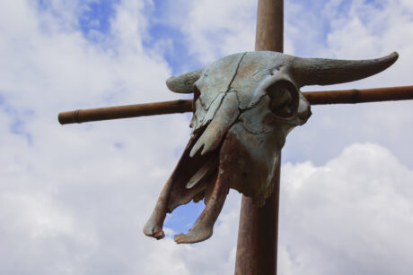 bitcoin-(btc)-rollercoaster-ride:-is-$23,000-the-end-of-the-line?