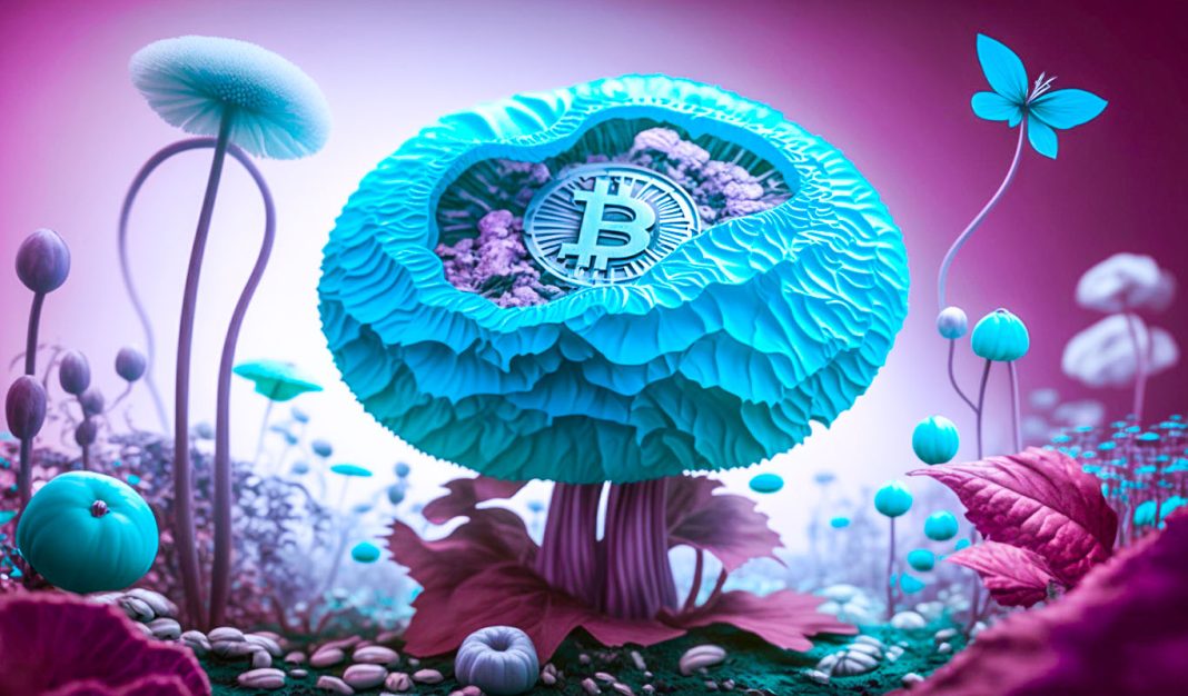 top-trader-warns-of-strong-breakdown-potential-for-bitcoin-(btc)-–-here-are-downside-his-targets