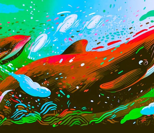 Crypto Whales Abruptly Move Nearly $60,000,000 in Dogecoin and Shiba Inu – Here’s Where the Crypto Is Going crypto-whales-abruptly-move-nearly-$60,000,000-in-dogecoin-and-shiba-inu-–-here’s-where-the-crypto-is-going