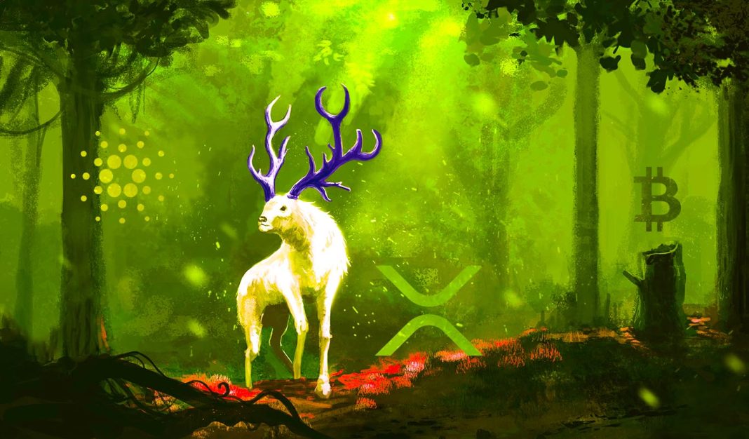 xrp,-cardano-(ada)-and-polygon-(matic)-see-institutional-flows-after-big-altcoin-discount:-coinshares