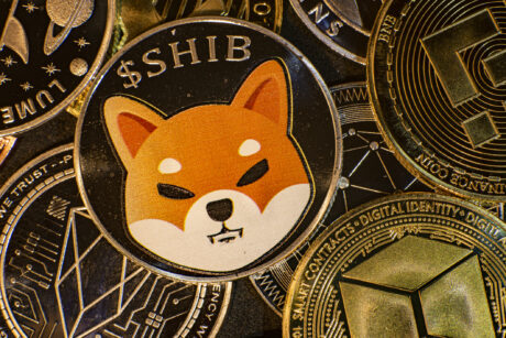 shiba-inu-becomes-14th-largest-cryptocurrency-as-bull-rally-heats-up