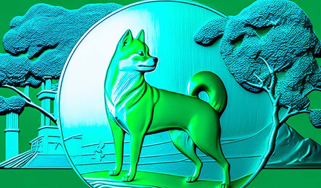 shiba-inu-(shib)-developer-looks-at-the-big-picture-for-the-dogecoin-(doge)-rival,-warns-against-scammers