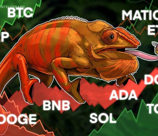 Price analysis 10/4: BTC, ETH, BNB, XRP, SOL, ADA, DOGE, TON, DOT, MATIC price-analysis-10/4:-btc,-eth,-bnb,-xrp,-sol,-ada,-doge,-ton,-dot,-matic
