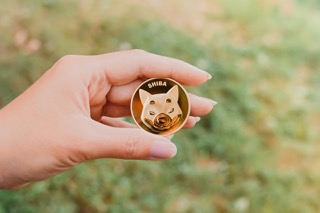 shiba-inu-burn-rate-nosedives-following-7,700%-jump,-what-happened?