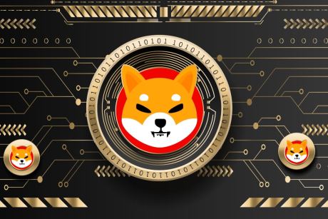 shiba-inu-sees-surge-in-whale-activity,-will-this-affect-shib?