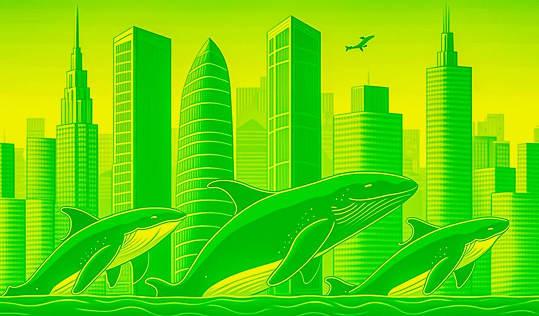 whales-move-over-$880,000,000-in-bitcoin,-solana,-xrp-and-dogecoin-–-here’s-where-the-crypto’s-headed