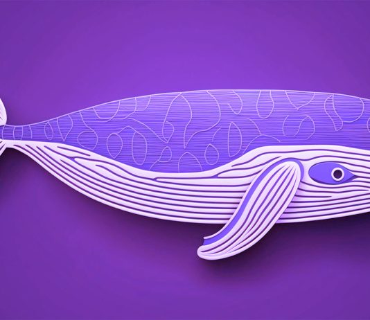 ‘Giant Whale’ Accumulates Over $54,000,000 Worth of Ethereum (ETH) Since September: Lookonchain ‘giant-whale’-accumulates-over-$54,000,000-worth-of-ethereum-(eth)-since-september:-lookonchain