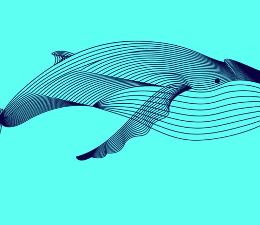 Crypto Whale With $158,180,000 Worth of Chainlink Starts Sending LINK to Binance: Lookonchain crypto-whale-with-$158,180,000-worth-of-chainlink-starts-sending-link-to-binance:-lookonchain