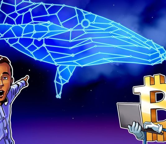 Bitcoin options data shows whales betting big — Will $50K BTC come in January? bitcoin-options-data-shows-whales-betting-big-—-will-$50k-btc-come-in-january?