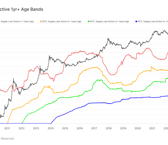 Record 31% of Bitcoin supply dormant for over five years record-31%-of-bitcoin-supply-dormant-for-over-five-years