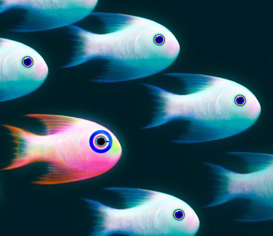 Coinbase Adds Dogecoin Rival That’s Up 400% in Past Month to Altcoin Listing Roadmap coinbase-adds-dogecoin-rival-that’s-up-400%-in-past-month-to-altcoin-listing-roadmap