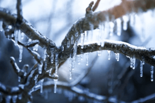 near:-3-reasons-this-crypto-is-up-80%-while-others-hibernate-in-the-run-up-to-2024