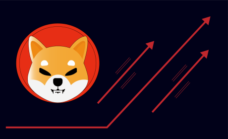 shiba-inu-to-rally-100%-to-$0.000062?-analyst-reveals-why-this-is-possible