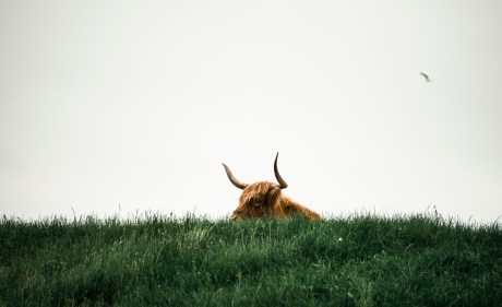 waiting-for-the-bitcoin-bull-run-to-resume?-here’s-the-indicator-to-watch-for