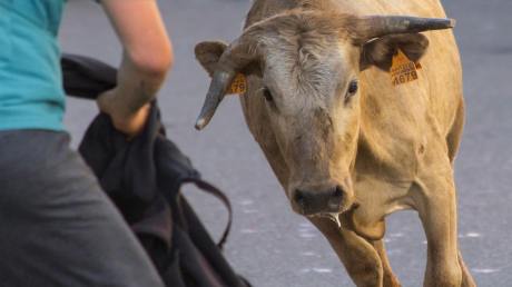 bitcoin-raises-bull-flag,-formation-triggers-calls-for-$100,000