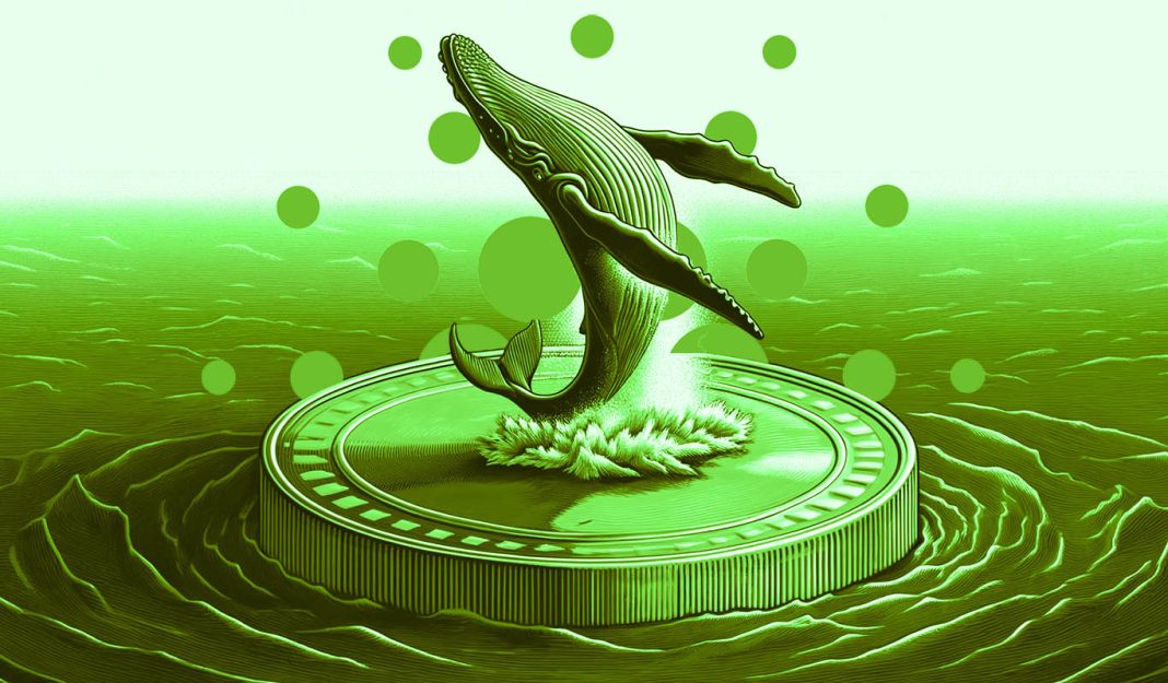 cardano-whale-signal-historically-correlated-with-price-reversals-flashes-green:-santiment