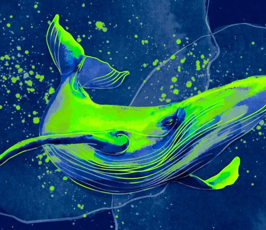 Whales Accumulate Chainlink, Pepe and Three Other Altcoins From Binance: Lookonchain whales-accumulate-chainlink,-pepe-and-three-other-altcoins-from-binance:-lookonchain