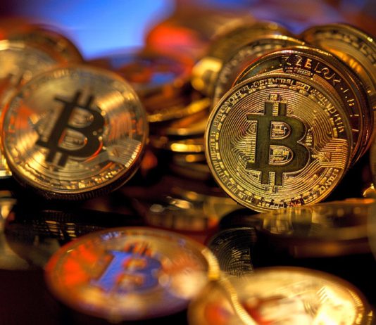 Two major hedge funds reveal $2.4 billion exposure to spot Bitcoin ETFs two-major-hedge-funds-reveal-$2.4-billion-exposure-to-spot-bitcoin-etfs