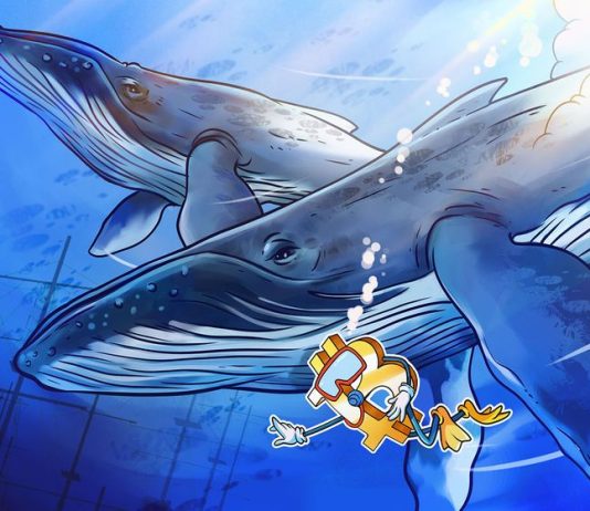 Bitcoin whales blamed as BTC price slips 2.8% after nearing $66.5K bitcoin-whales-blamed-as-btc-price-slips-28%-after-nearing-$66.5k