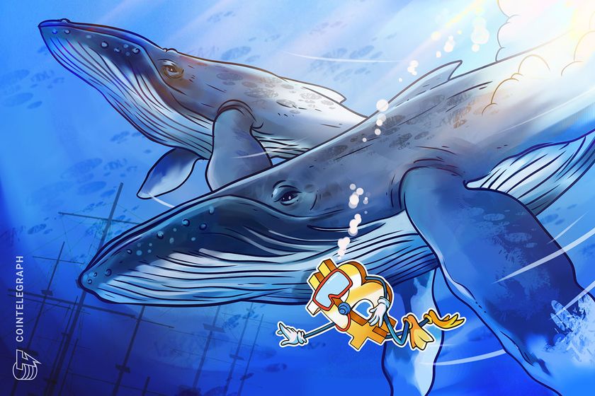 bitcoin-whales-blamed-as-btc-price-slips-28%-after-nearing-$66.5k