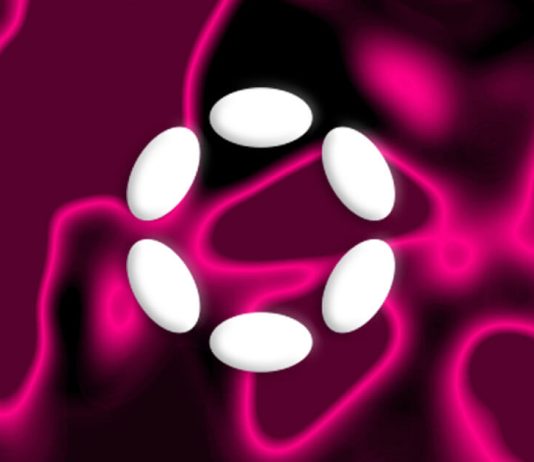 Polkadot team dismisses fears of empty treasury, touts self-sustaining model polkadot-team-dismisses-fears-of-empty-treasury,-touts-self-sustaining-model