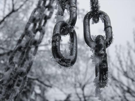 bear-market-bites:-chainlink-loses-10%,-further-downturn-to-$6.80-feared