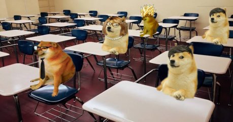 floki-inu-to-build-schools-in-india,-floki-price-seen-hitting-$17