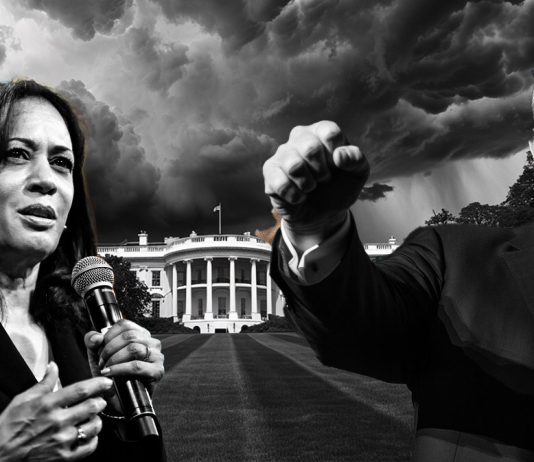Polymarket bets speculating on Trump vs. Harris hit record $445 million polymarket-bets-speculating-on-trump-vs.-harris-hit-record-$445-million