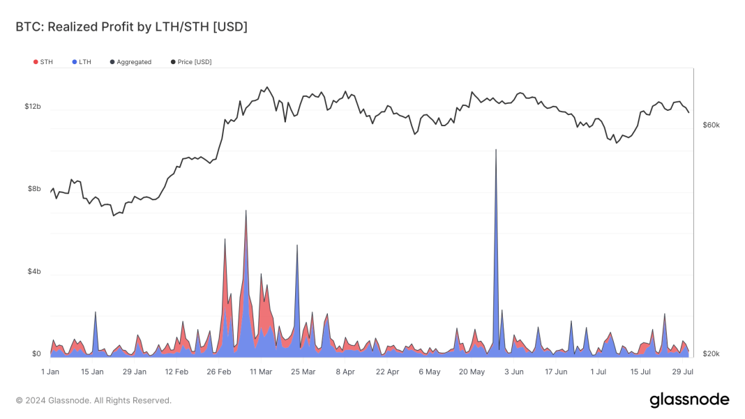 bitcoin-long-term-holders-dominate-profit-realizations-in-2024,-leveraging-price-peaks